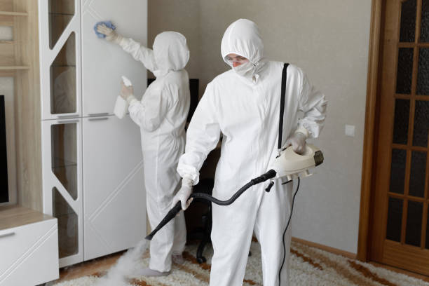 24/7 Emergency Odor Removal experts in Tilton, IL
