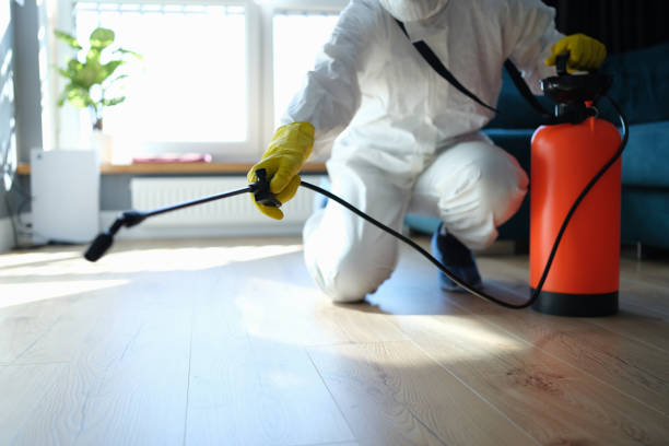 Reliable Odor Removal contractor in Tilton, IL by Trauma Clean Pros